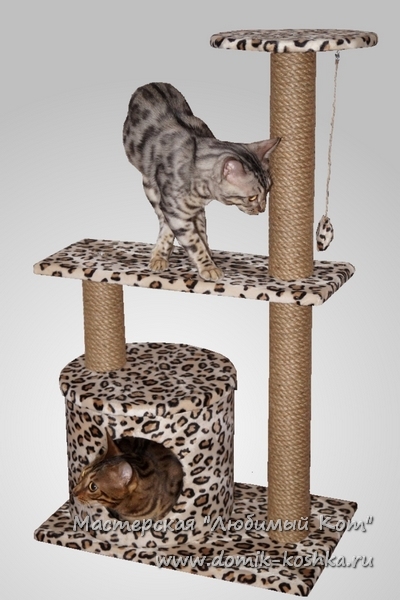 домик - когтеточка