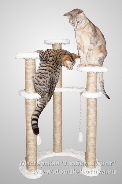 Когтеточка для кошек