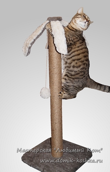 Раздел когтеточки лазилки для кошек